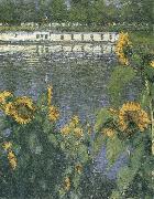 Gustave Caillebotte The sunflowers of waterside oil on canvas